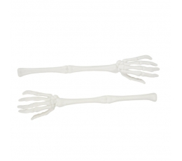 Skeleta rokas, baltas (2 gab./32 cm)